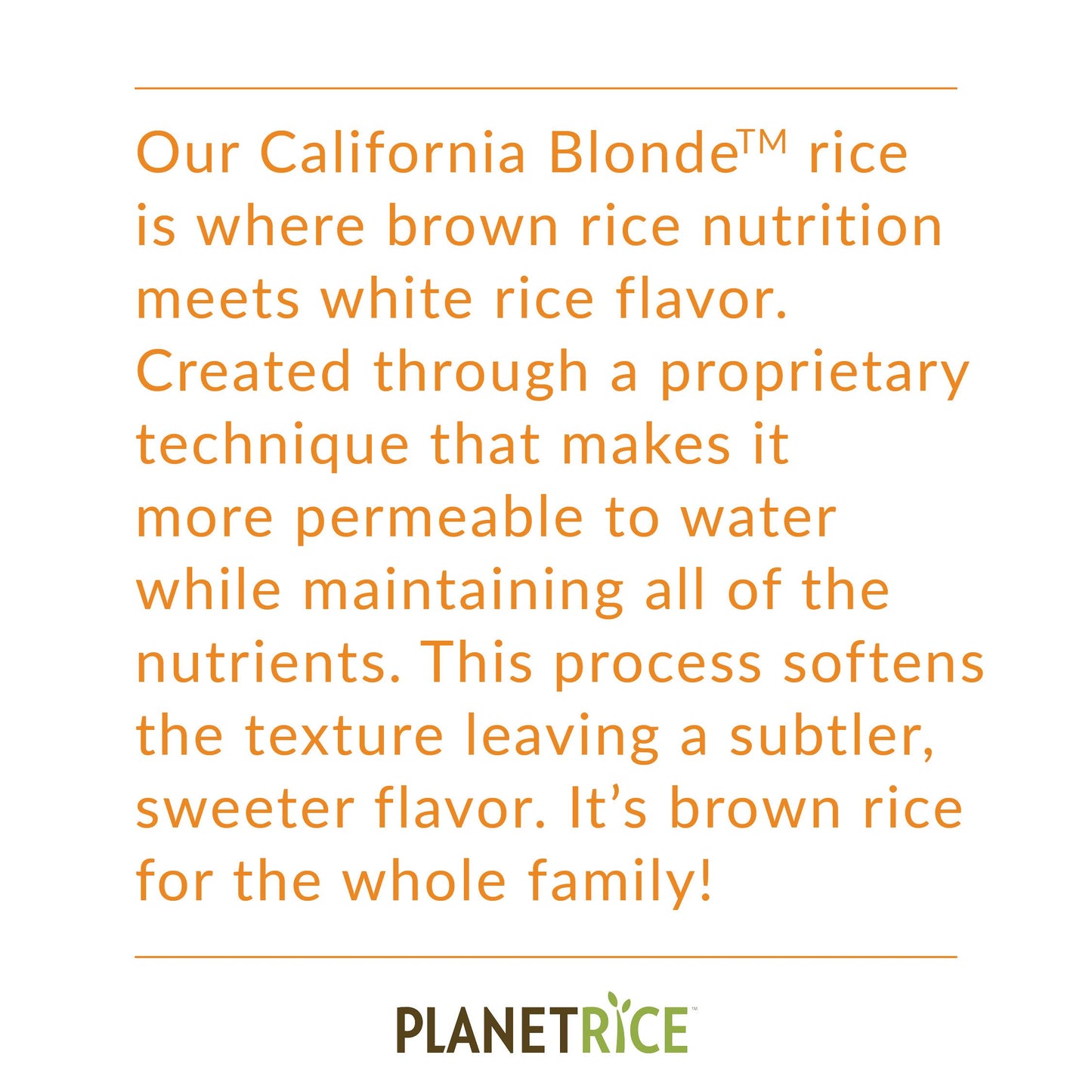 Planet Rice Bulk Sprouted Blonde Rice - Great for Cooking - Gaba Rice Gluten-Free, Non-GMO, Vegan, Paleo, with 64% More Fiber - Soft and Chewy Texture - 25 lbs