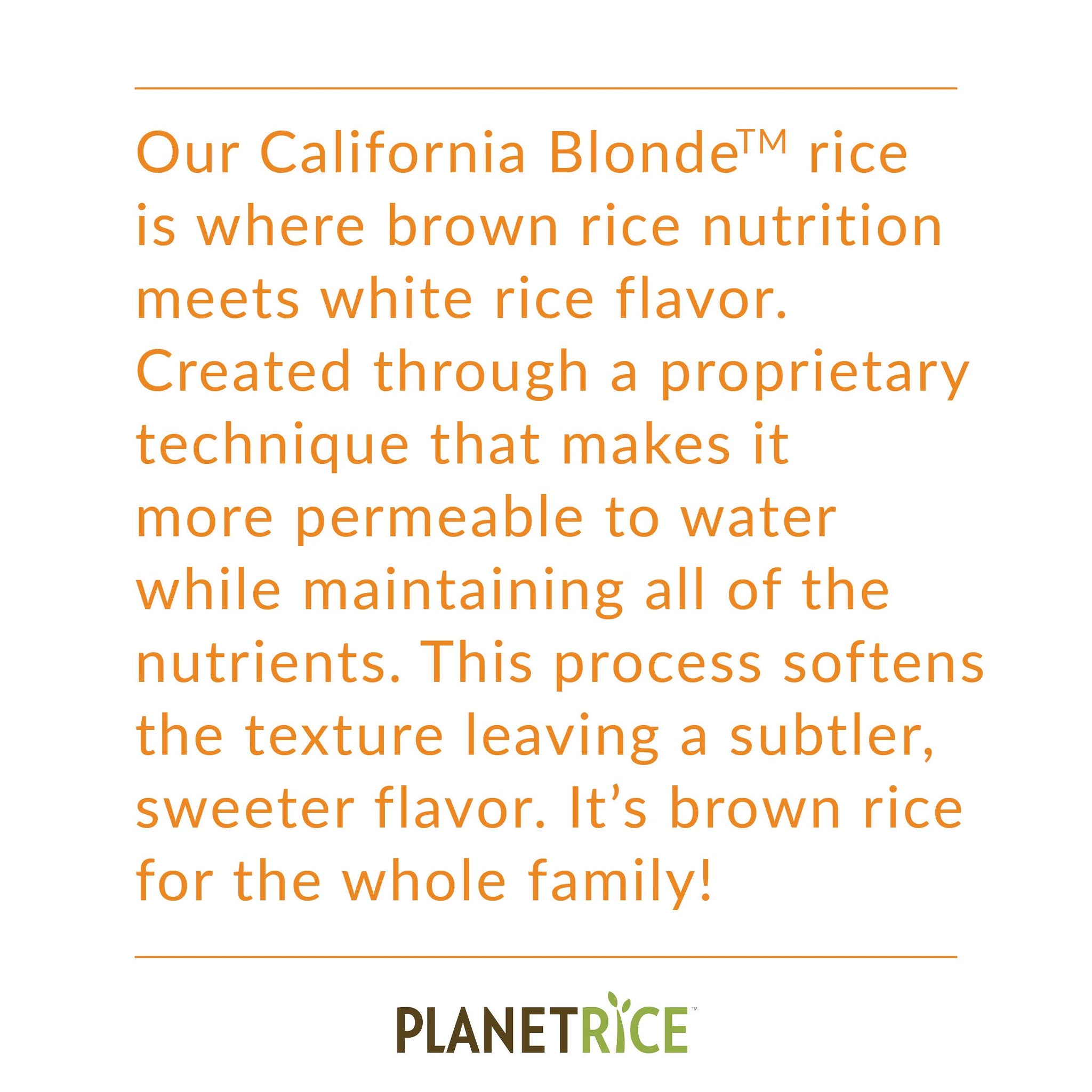 Planet Rice Bulk Sprouted Blonde Rice - Great for Cooking - Gaba Rice Gluten-Free, Non-GMO, Vegan, Paleo, with 64% More Fiber - Soft and Chewy Texture - 25 lbs