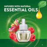 Air Wick Plug-In Scented Oil Refills, 3 Count, Lush Honeysuckle and Raspberry, Air Freshener, Essential Oils, Eco Friendly