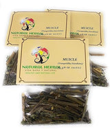 Muicle Hierba-Tea(3/8 OZ-10.6 G)(3-Pack)