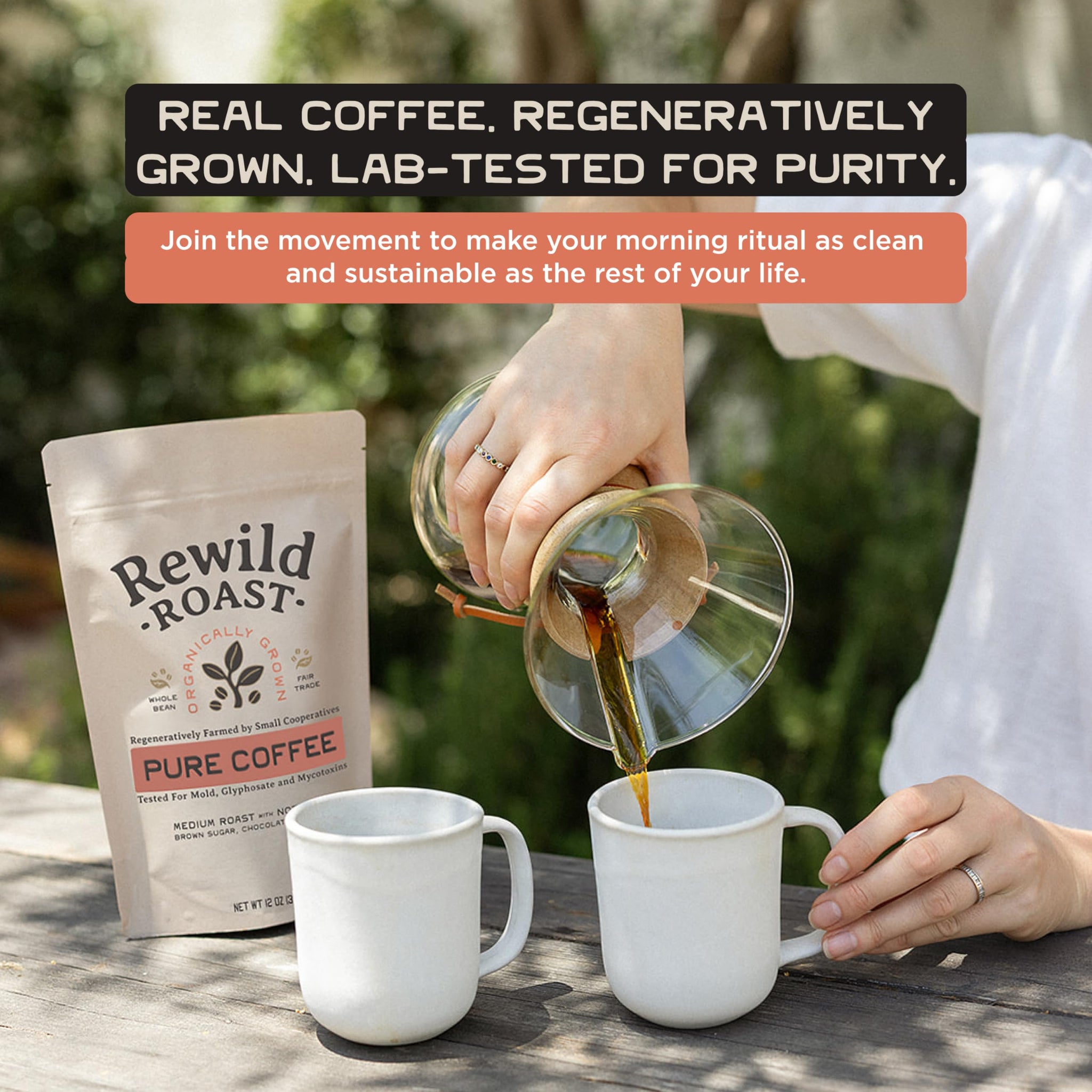 Lineage Provisions Rewild Roast Coffee - Organic Whole Coffee Beans - Arabica Medium Roast - Brown Sugar, Dark Chocolate, Toasted Walnut, Citrus
