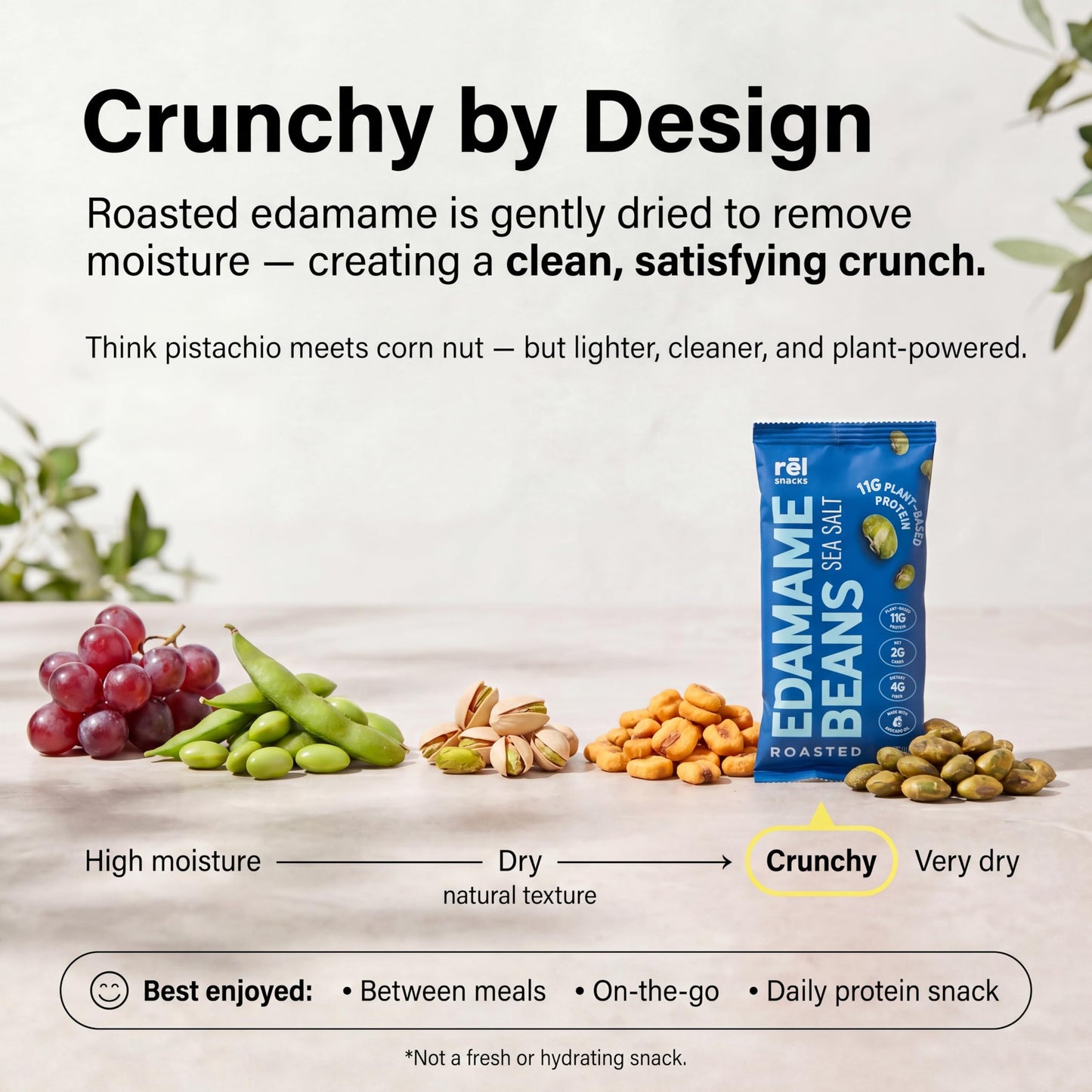 Rel Snacks Sea Salt Roasted Edamame Beans - High Protein, Low Carb Snack (11g Protein) - Keto, Vegan, Non-GMO - Made with Avocado Oil - 10 Pack, 0.9
