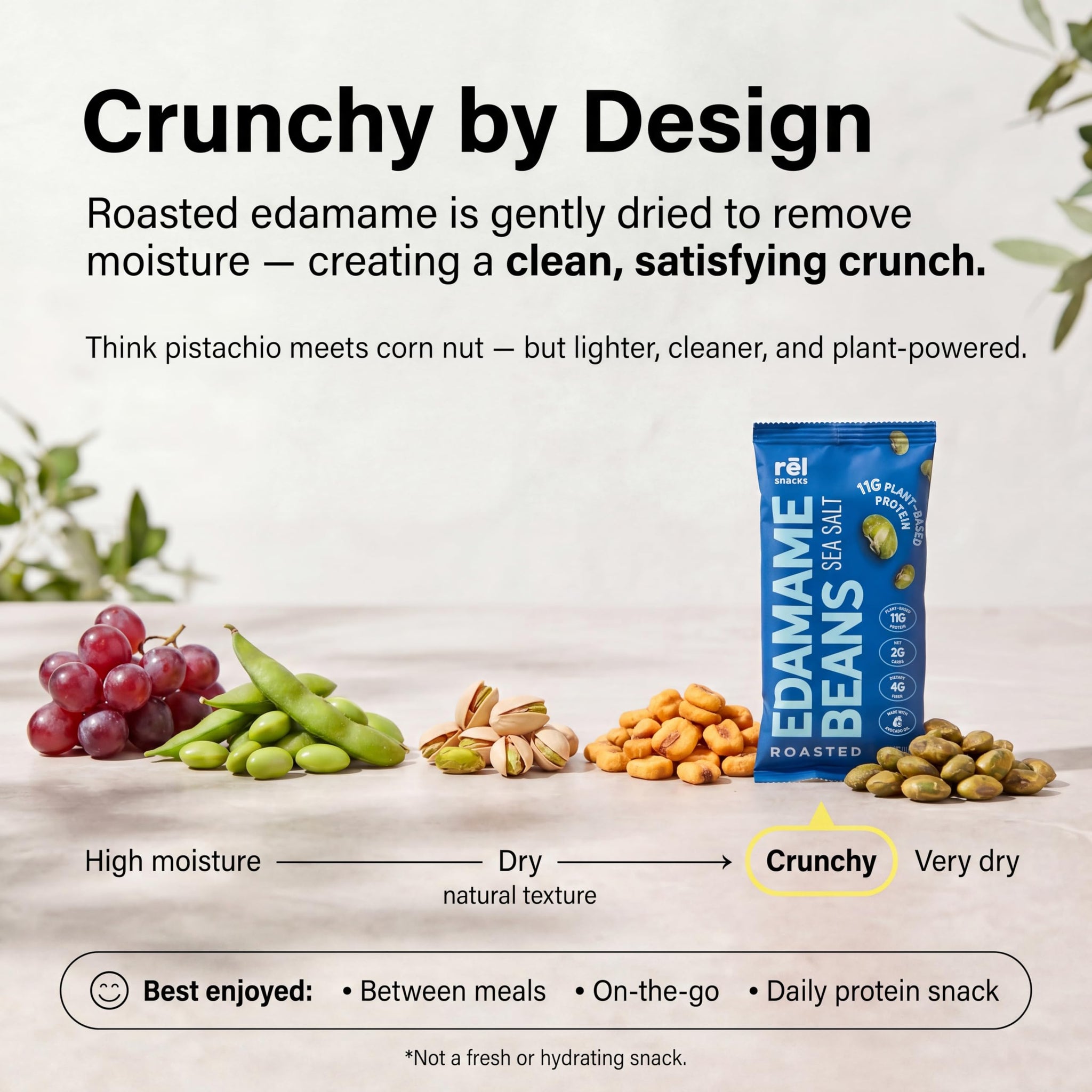 Rel Snacks Sea Salt Roasted Edamame Beans - High Protein, Low Carb Snack (11g Protein) - Keto, Vegan, Non-GMO - Made with Avocado Oil - 10 Pack, 0.9