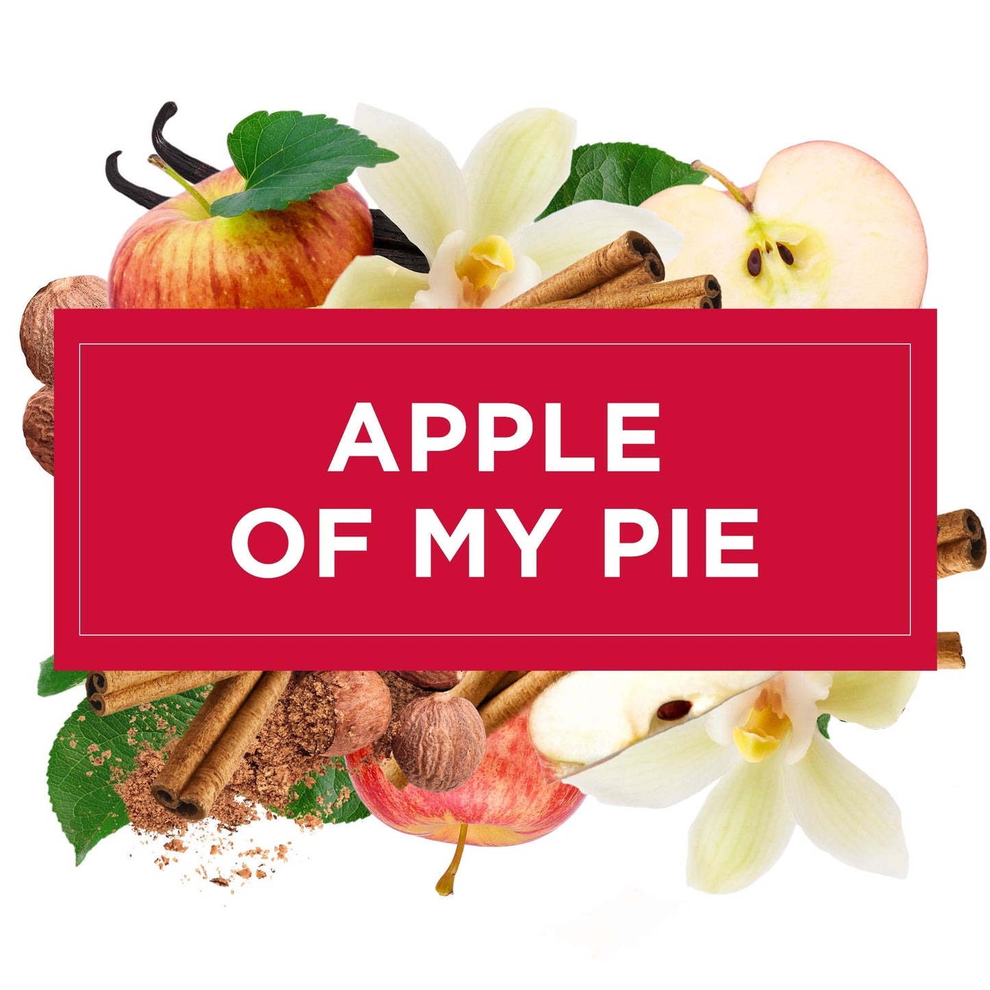 Glade Plugins Scented Oil Refills - Apple of My Pie - Holiday Collection 2020-2 Count Oil Refills Per Package - Pack of 2 Packages