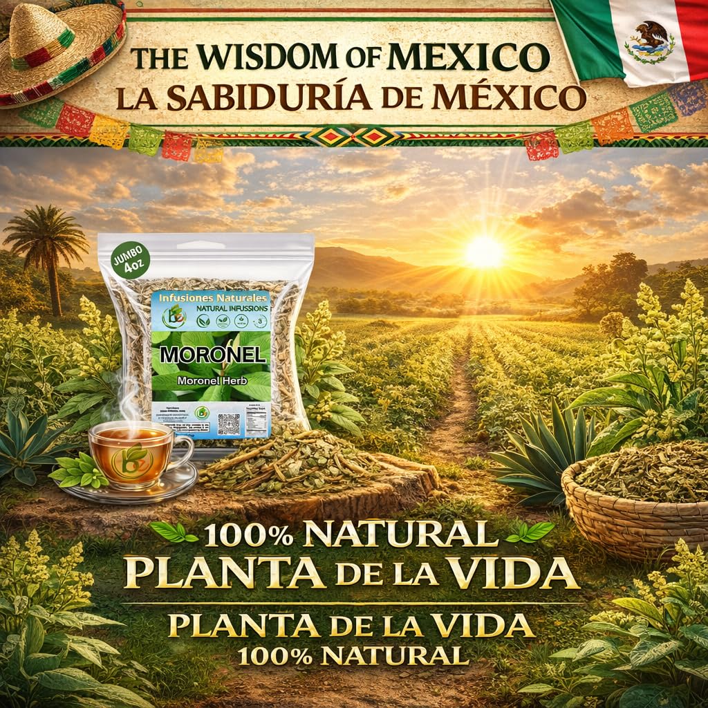 Moronel Herbal Tea (4 oz) - Premium "Planta de la Vida" (Synadenium grantii) - Wildcrafted Loose Leaf Tea from Mexico - 100% Natural, Caffeine-Free