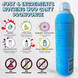 Stain Bandit Stain Remover Spray | Non-Toxic Stain Remover Family Safe Formula | Bag-On-Valve 360° Continuous Spray Bottle | Cleaner for Clothes