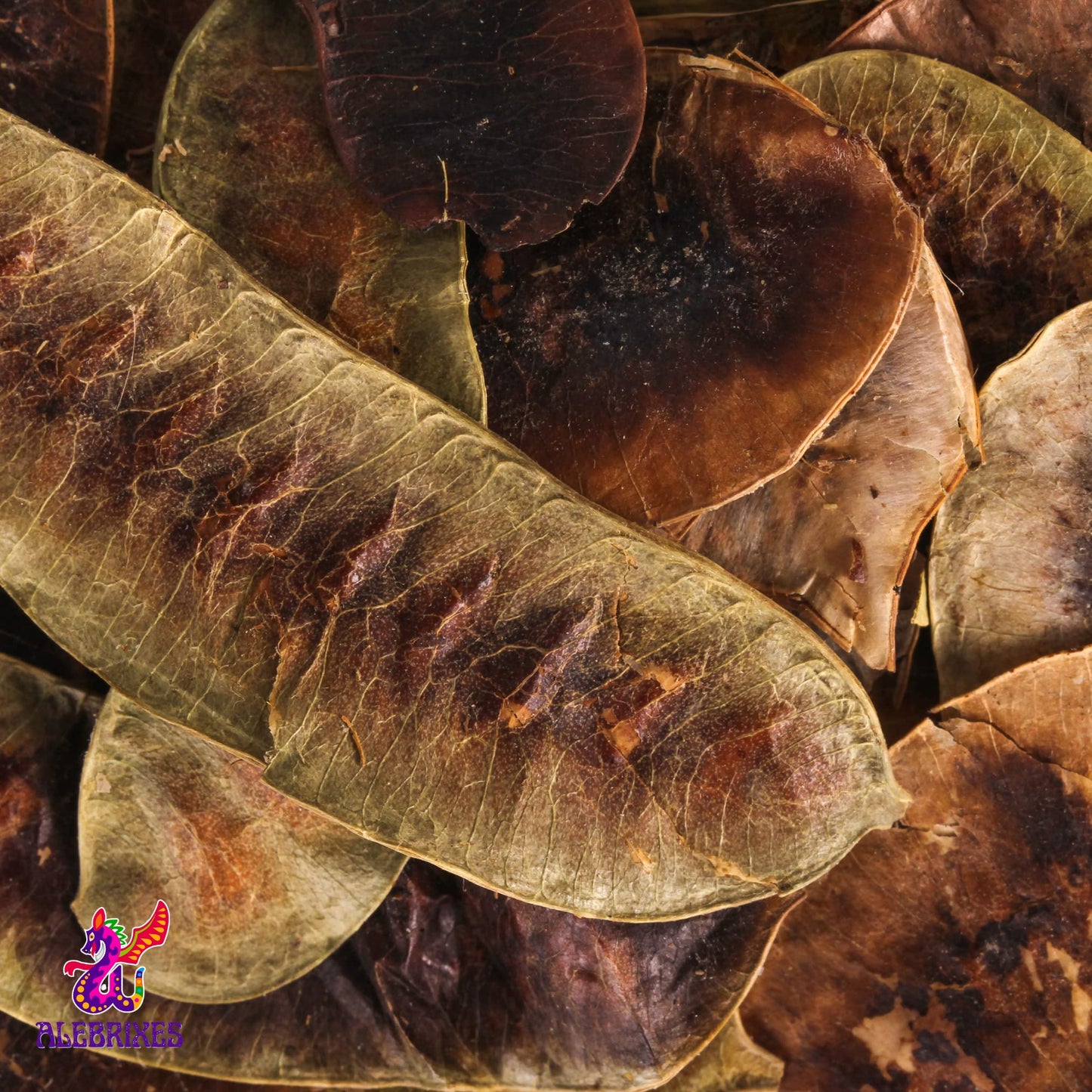 Alebrixes | Senna Pods Herbal Tea (4oz)| Premium Quality Whole Senna Pods Tea | Te Senos de Mujer Vainas Hoja Sen | Wildcrafted.