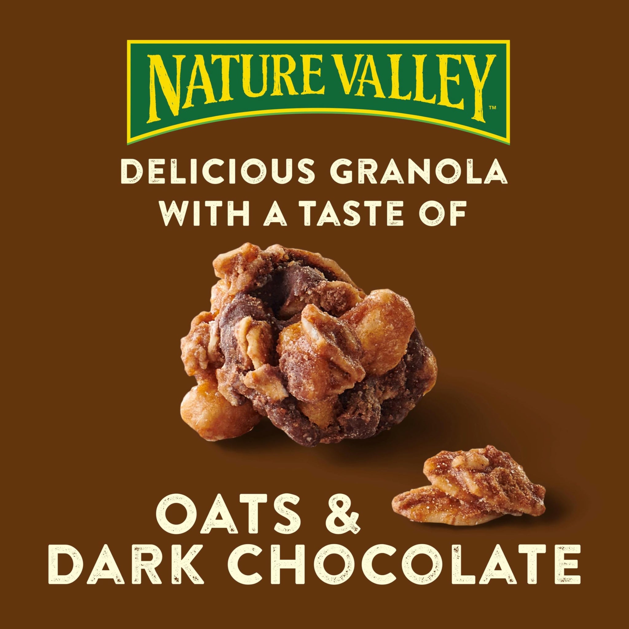 Nature Valley Protein Granola, Oats and Dark Chocolate Granola, Resealable Snack Pouch, 11 oz