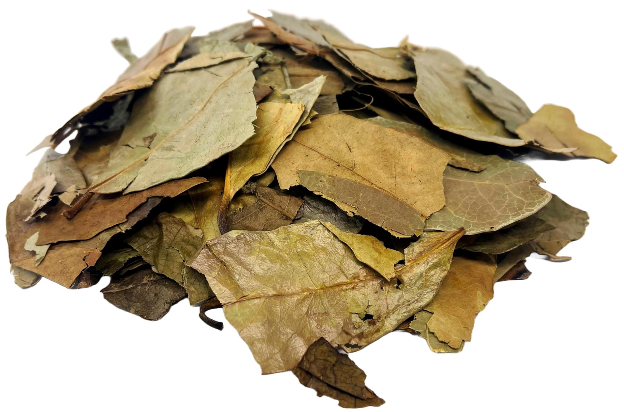 Soursop Leaves Hojas de Guanabana Herbal Tea Value Pack (105g)