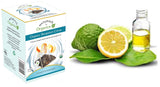 Naturals-n-Organics Organic Bergamot Citrus Earl Grey Tea with Natural Italian Bergamot Oil for Autophagy and Detox, 24 Bio-degradable Pyramid Tea
