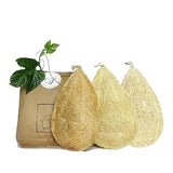 Miw Piw Natural Loofah Dish Sponge Pack 3 Vegetable Scrubber for Kitchen -100% Biodegradable Compostable Dishwashing Scouring Pad Zero Waste Plastic