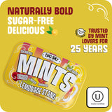 Big Sky Sugar Free Lemonade Stand Mints - 50 Count Tin (Pack of 6) | Kosher Certified, Vegan Candy | Aspartame & Gluten Free | Lemon Flavored Sugar