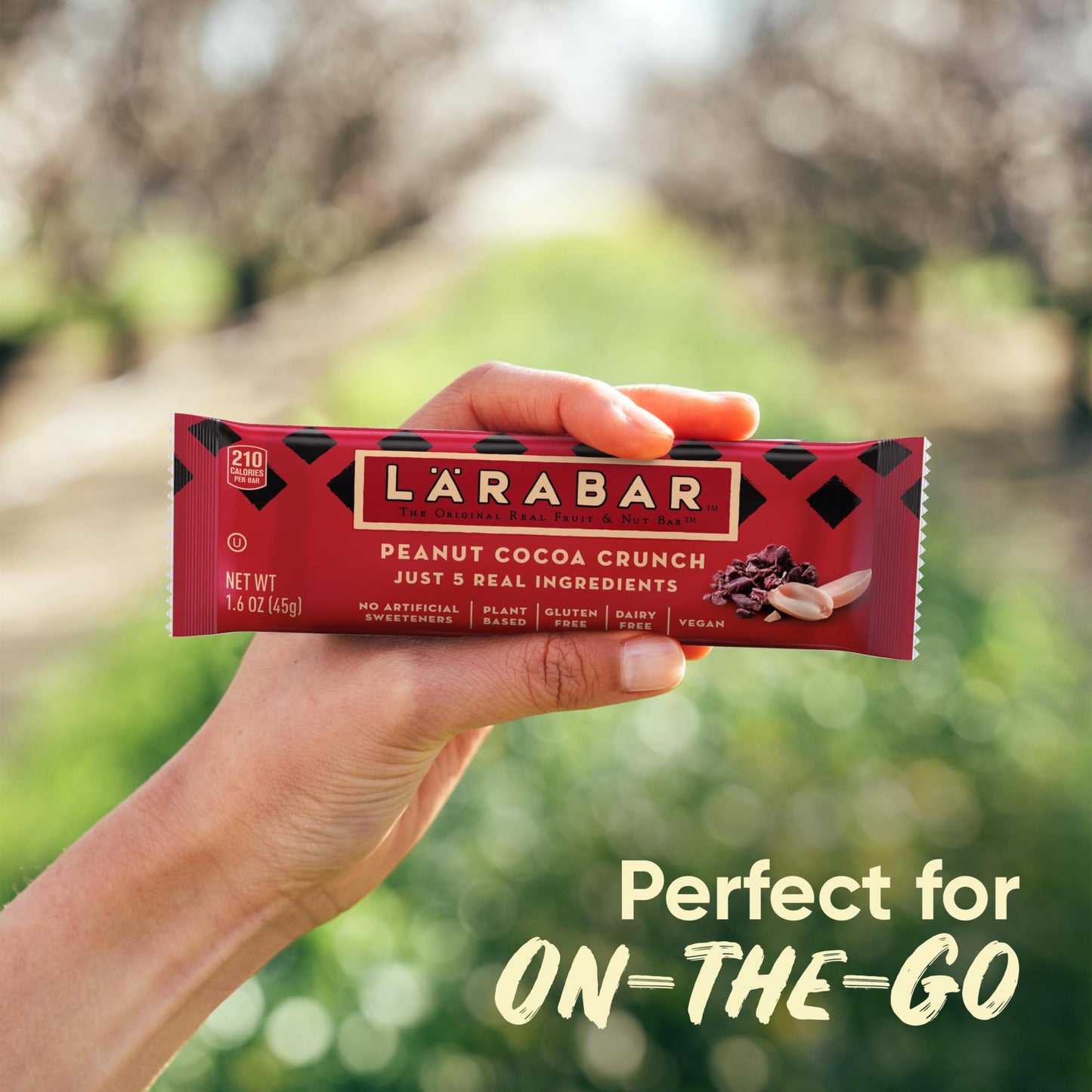 Larabar Peanut Cocoa Crunch, Fruit and Nut Bars, Gluten Free and Vegan, 6 Ct, 9.6 oz