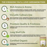 SPICY ORGANIC Green Cardamom Pods - 2 lb - Whole Cardamon Seeds for Authentic Spice Flavor, Natural Cardamon Pod for Tea, Cooking, and Baking- USDA