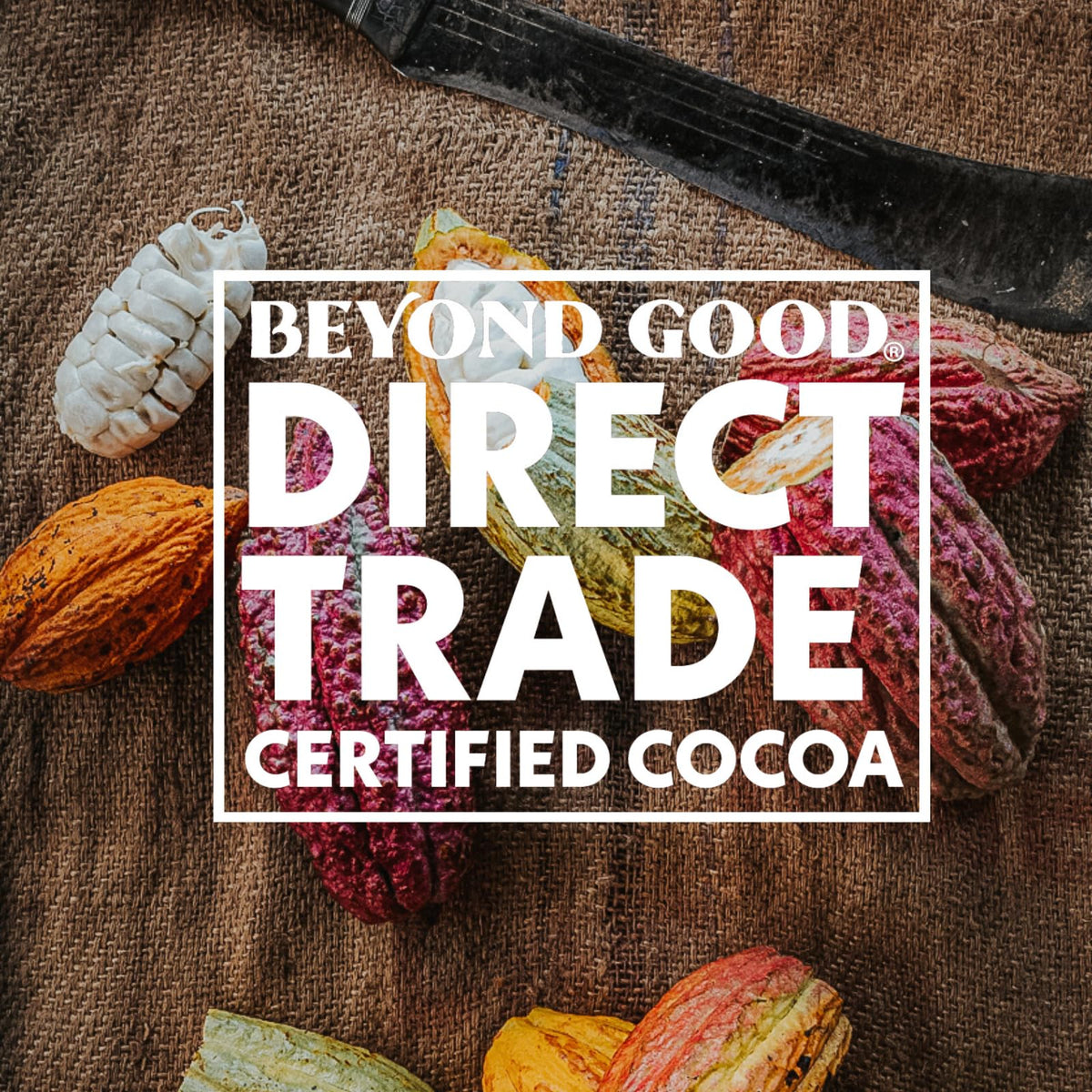 Beyond Good 73% Cocoa Dark Chocolate with Hazelnuts | 6 Pack - Chocolate Bars | Direct Trade, Vegan, Kosher, Non-GMO | Single Origin Ugandan Chocolate