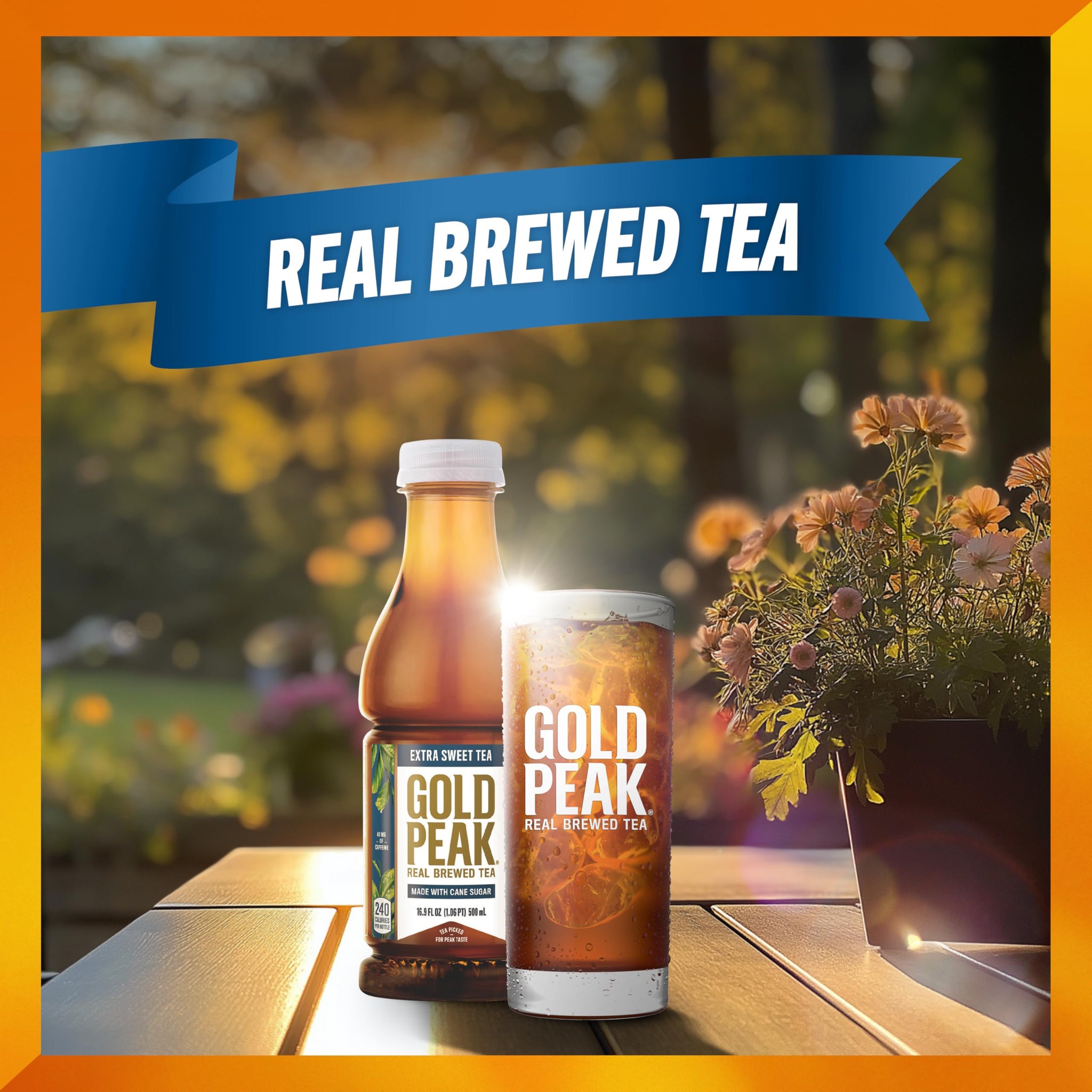 Gold Peak Extra Sweet Iced Tea, Sweet Tea Bottles, 16.9 fl oz, 6 Pack