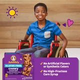 Annie's Gluten Free Chewy Granola Bars, Double Chocolate Chip, 5 Bars, 4.9 oz (Pack of 12)