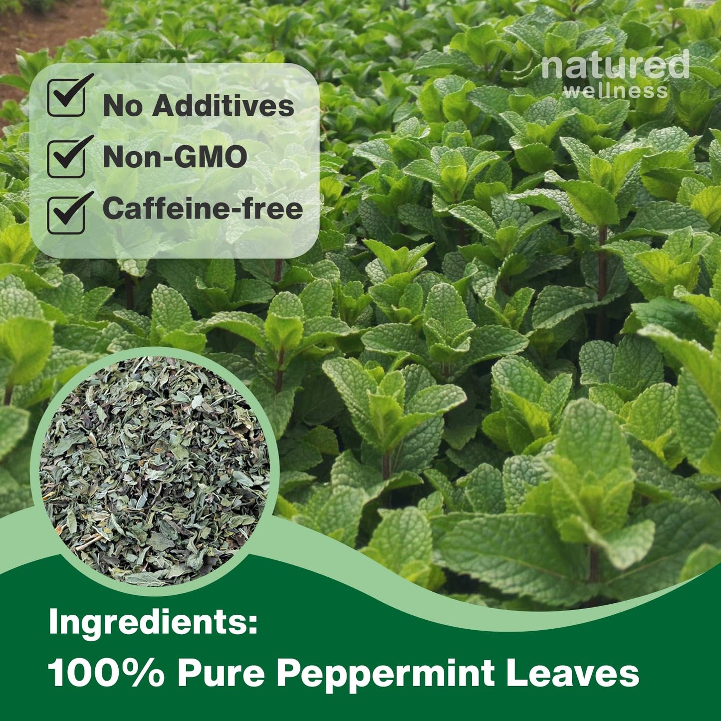 Peppermint Tea Bags - Strong Mint for Digestion & Bloating Relief - Caffeine Free Herbal Tea - 100% Pure Peppermint Leaves, Fresh & Aromatic, Non-GMO