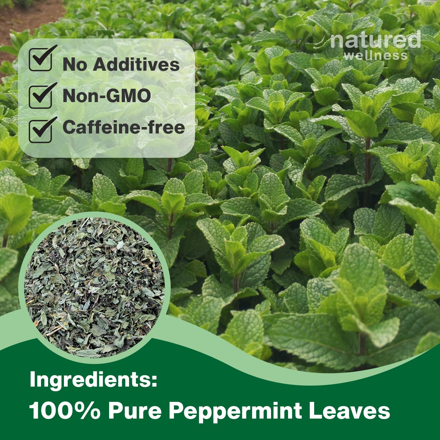 Peppermint Tea Bags - Strong Mint for Digestion & Bloating Relief - Caffeine Free Herbal Tea - 100% Pure Peppermint Leaves, Fresh & Aromatic, Non-GMO