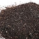VITAMINSEA Irish Sea Moss Dried Seaweed | Wild North Atlantic Seaweed for Snacking, Seasoning, Soups & Salads | Rich in Vitamins, Minerals
