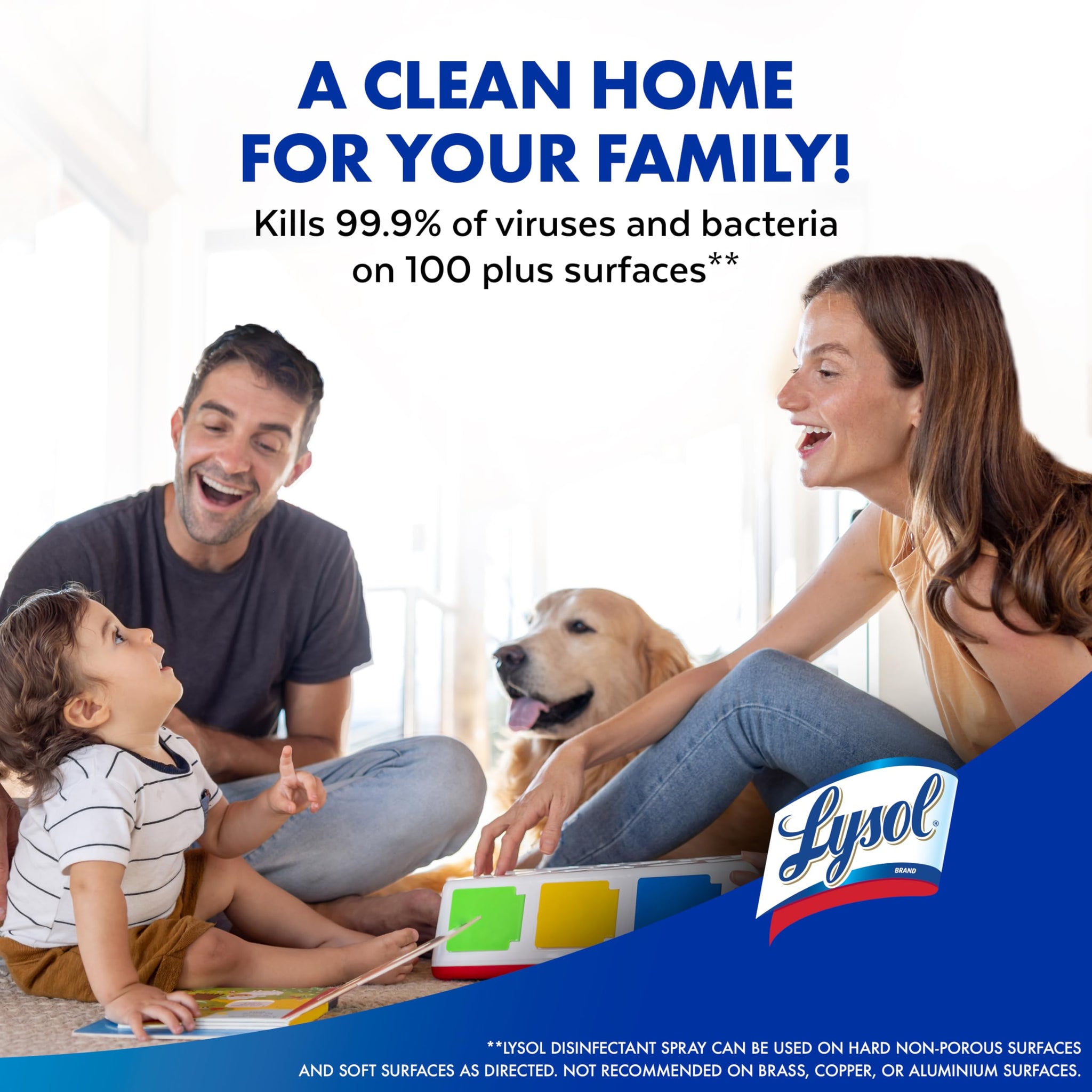 Lysol Disinfectant Spray, Household Cleaning Supplies, Disinfecting Multi-Purpose Room Spray, Antibacterial Sanitizer, Deodorizer, Kills Hantavirus