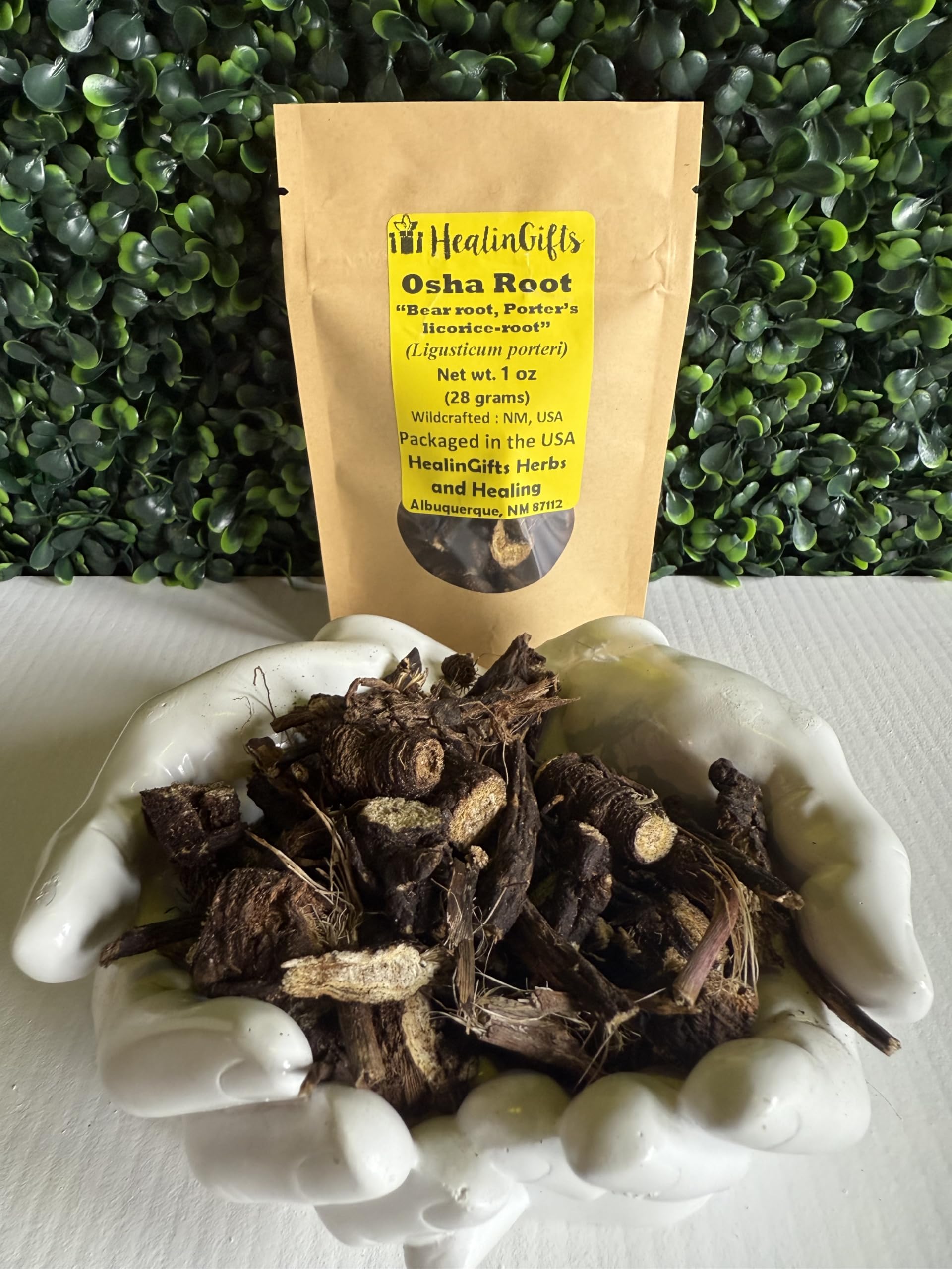 Wildcrafted OSHA Root (Bear Root) Ligusticum porteri Fresh Harvested from New Mexico 1 oz