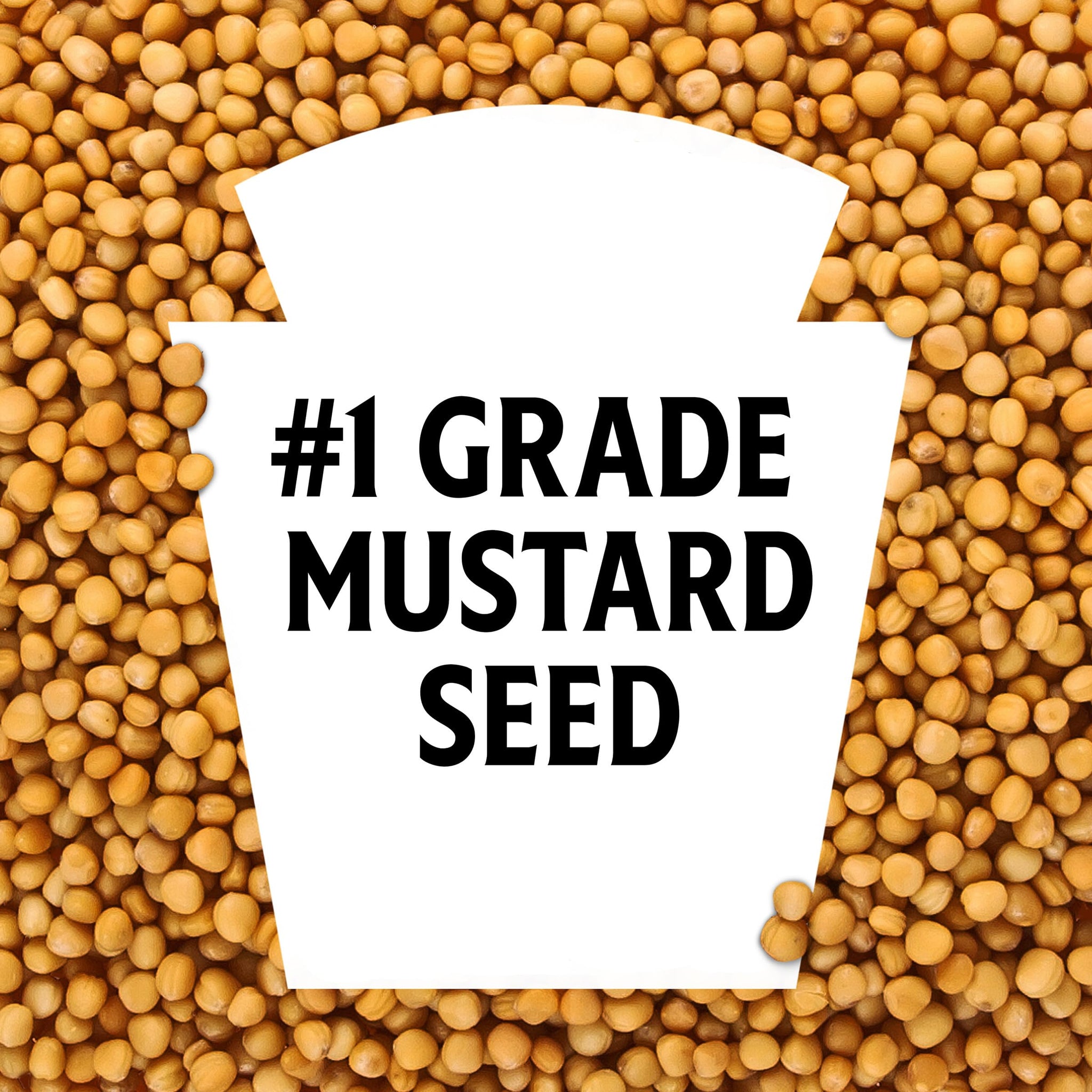 Heinz Yellow Mustard, 20 oz Bottle