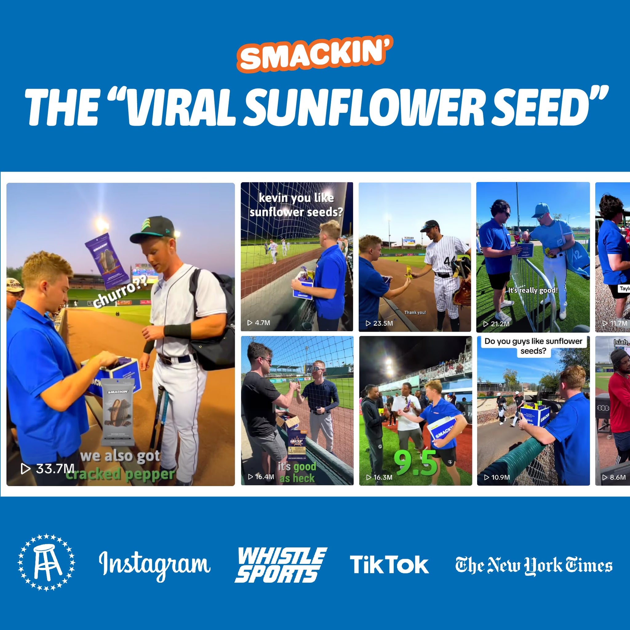 SMACKIN' Sunflower Seeds, Roasted Jumbo Small-Batch, American Made - 6 Flavor Variety. 1.5oz bags (6 Bags)
