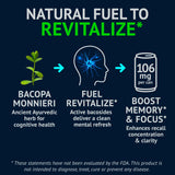 NEORON Focus + Calm | Nootropic Drink for Mental Clarity - Stress & Burnout Support (12-Pack, Blueberry & Mint, Sugar-Free)