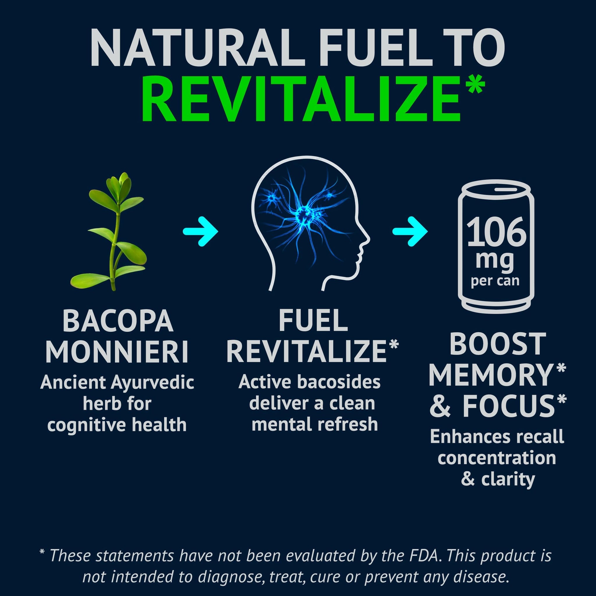 NEORON Focus + Calm | Nootropic Drink for Mental Clarity - Stress & Burnout Support (12-Pack, Blueberry & Mint, Sugar-Free)