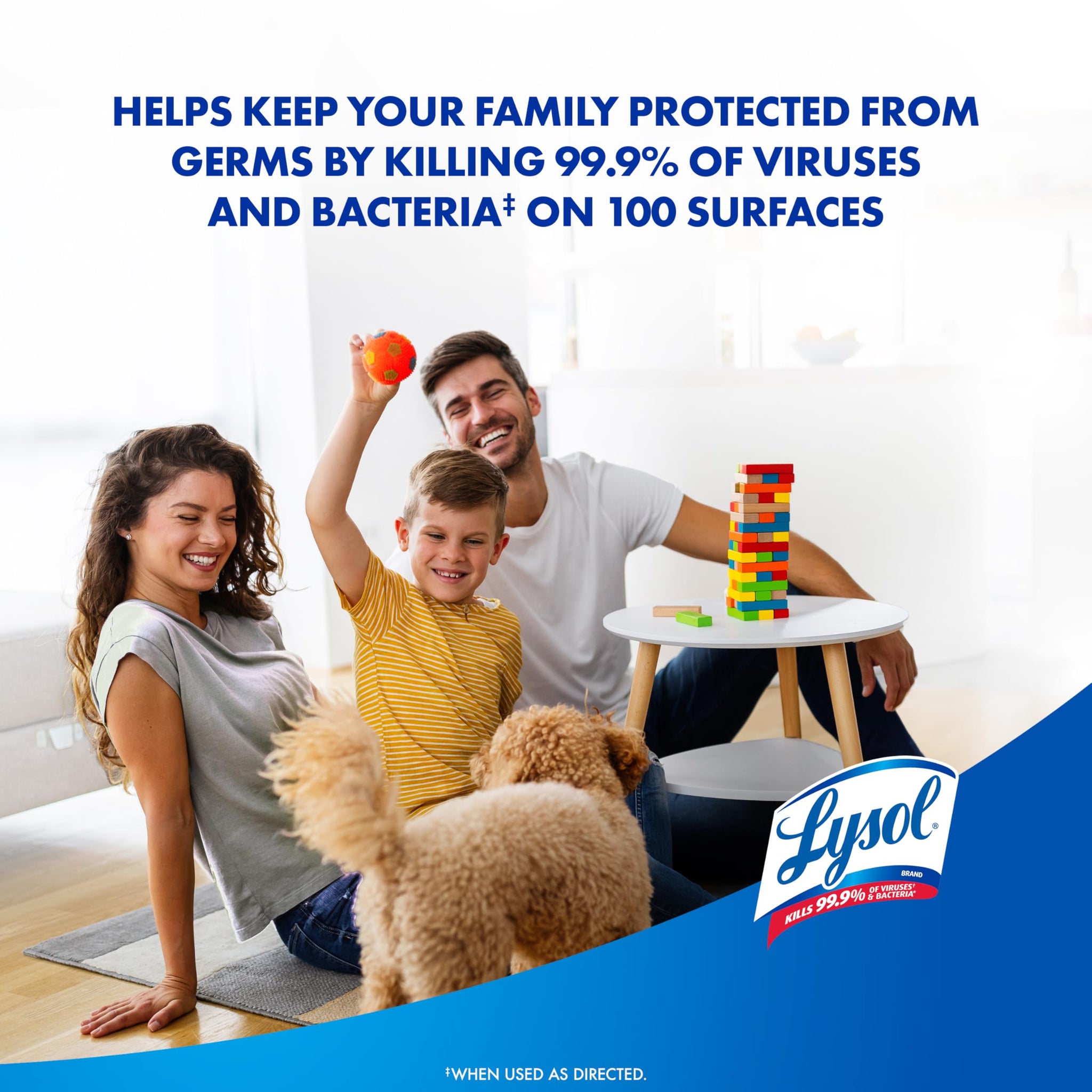 Lysol Disinfectant Spray, Household Cleaning Supplies, Disinfecting Multi-Purpose Room Spray, Antibacterial Sanitizer, Deodorizer, Kills Hantavirus