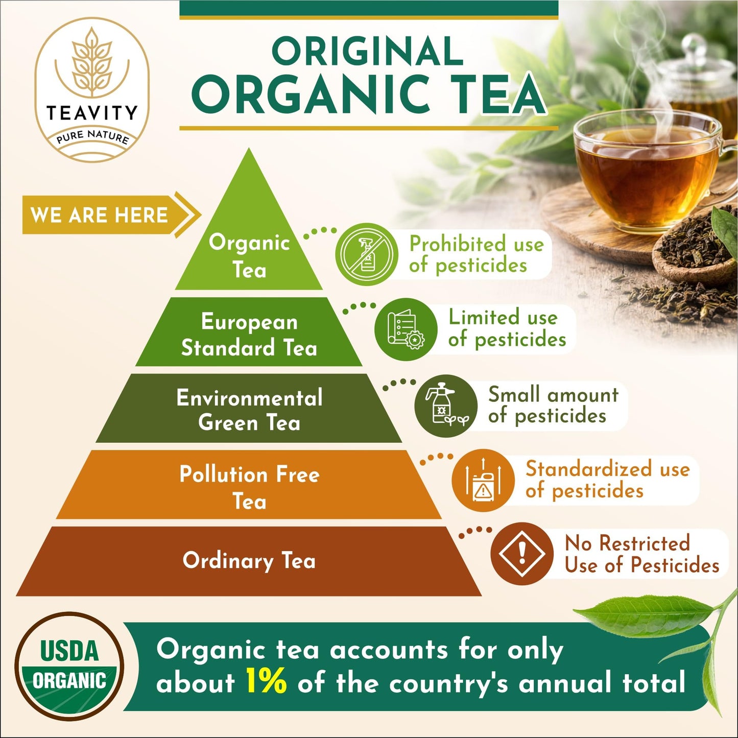 Green Tea & Ginger Tea Pods for Keurig - Caffeinated, Organic, Dye Free, Unsweetened, Herbal Blend for K Cup Machines - Hot or Iced (12 Tea Pods)