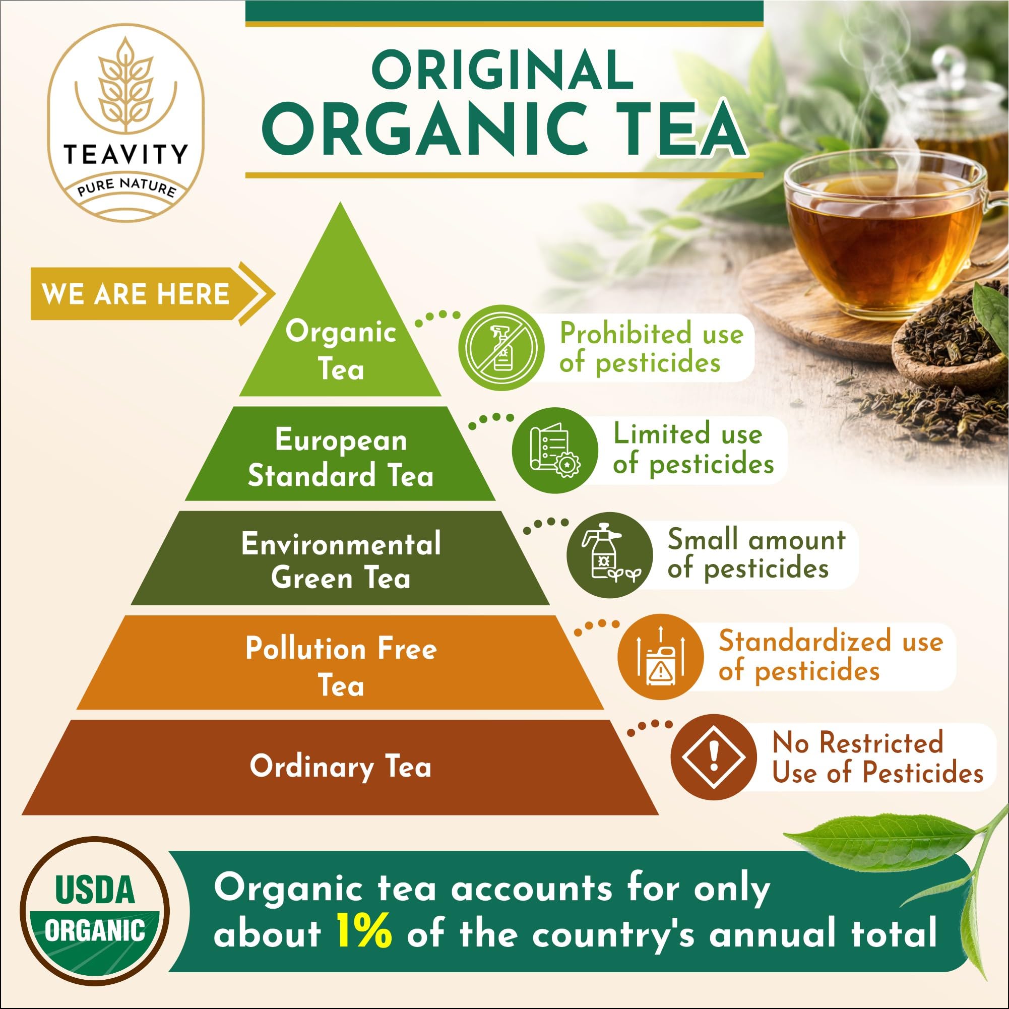 Green Tea & Ginger Tea Pods for Keurig - Caffeinated, Organic, Dye Free, Unsweetened, Herbal Blend for K Cup Machines - Hot or Iced (12 Tea Pods)