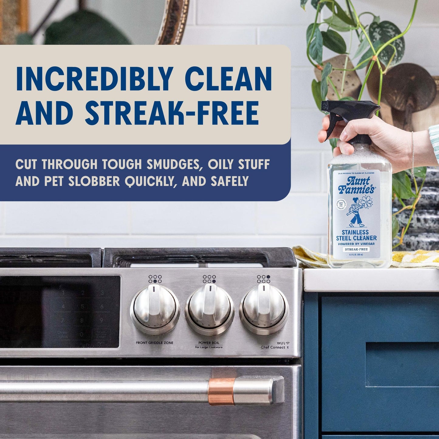 Aunt Fannie's Stainless Steel Spray Cleaner, Powered by Vinegar, Fingerprint and Residue Remover for Refrigerator, Dishwasher, Oven, Grill, Sink