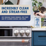Aunt Fannie's Stainless Steel Spray Cleaner, Powered by Vinegar, Fingerprint and Residue Remover for Refrigerator, Dishwasher, Oven, Grill, Sink