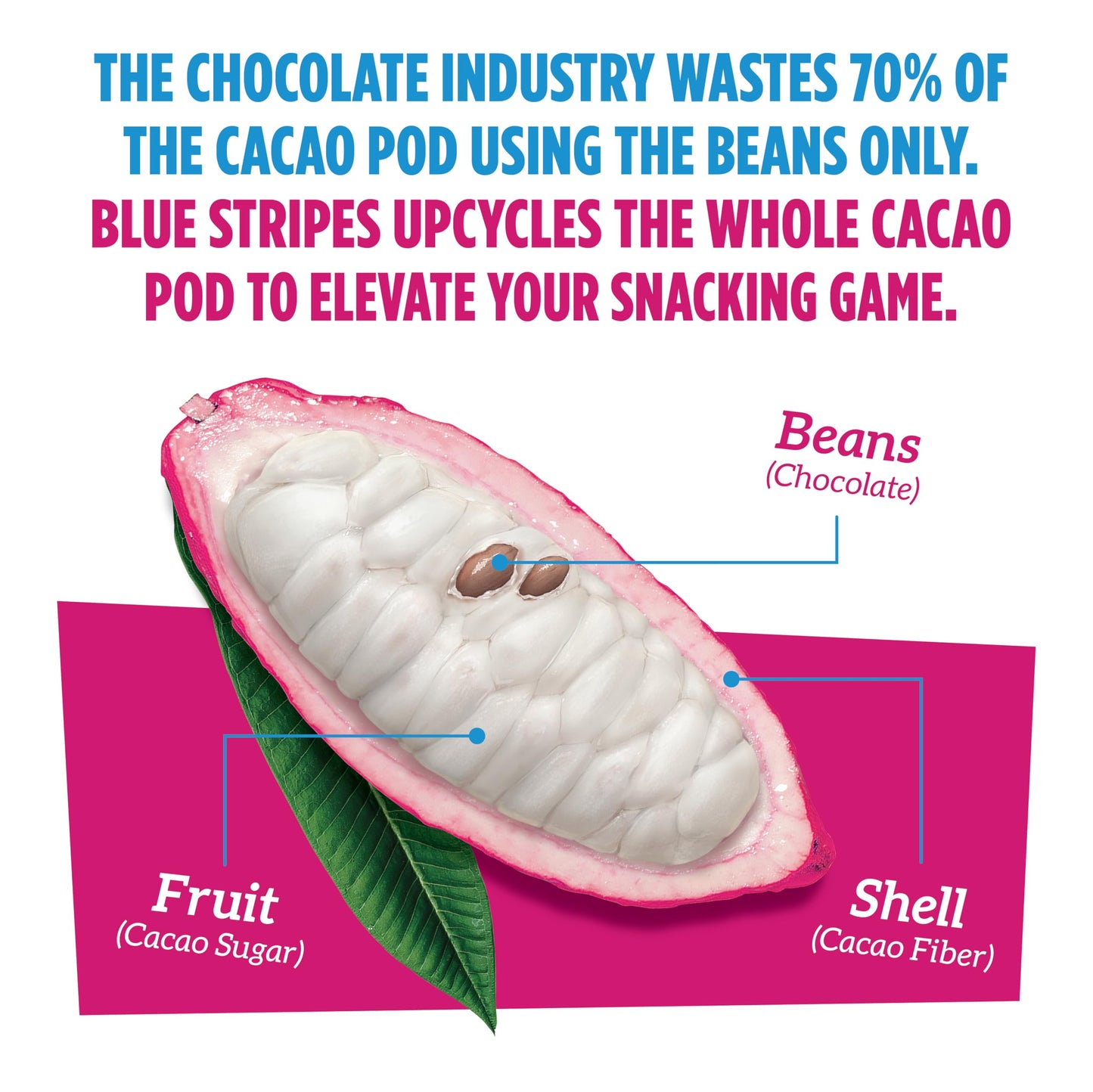 Blue Stripes - Almond Butter Whole Cacao Truffle Chocolate Bars, 70% Cacao, Almond Butter, Healthy Chocolate, Vegan, No Refined Sugar, Non GMO, Gluten