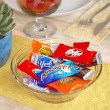 Hershey Assorted Chocolate Flavored Candy Party Pack, 25 oz