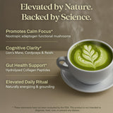 NACLEA Mushroom Matcha Powder - Sugar-Free Japanese Ceremonial Green Tea with Superfood Functional Mushrooms and Hydrolyzed Collagen - Coffee