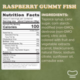 Raspberry Gummy Fish | Women's Bean Project Nonprofit Snacks | Gluten Free, Gelatin Free, Vegan | No Artificial Colors or Flavors | Soft & Chewy | 5