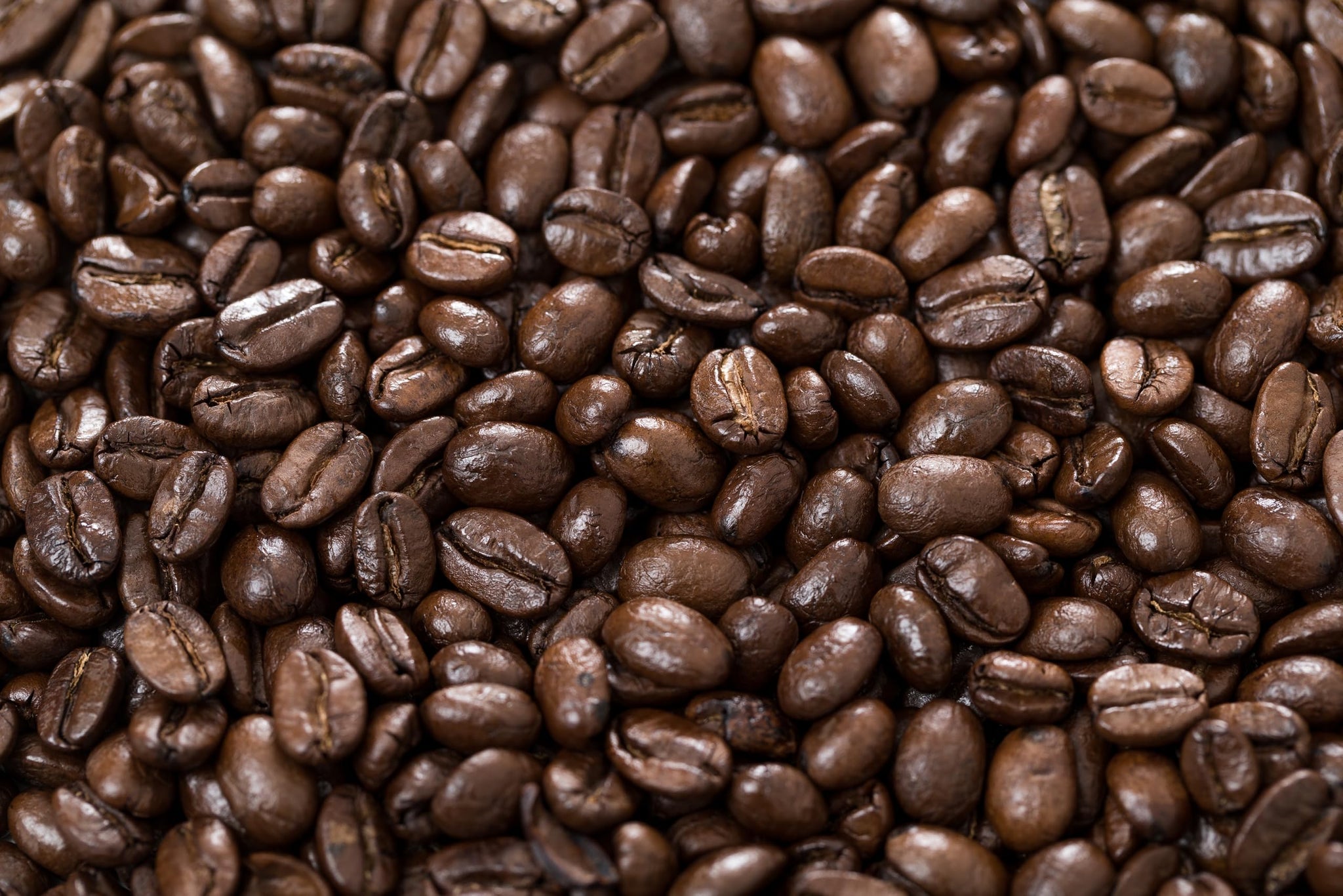 Revolution Roast Bold Dark Roast Whole Bean Coffee - 5 lb Bulk Bag, 100% Arabica, Fair Trade, Ethically Sourced, Sustainable, Chocolate & Smoky Notes