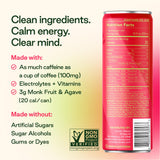Plant Press - Organic Energy Drink, 100 mg Caffeine Clean Coffee Alternative, Full Range of Vitamins, Electrolytes, No Sugar Alcohols, No