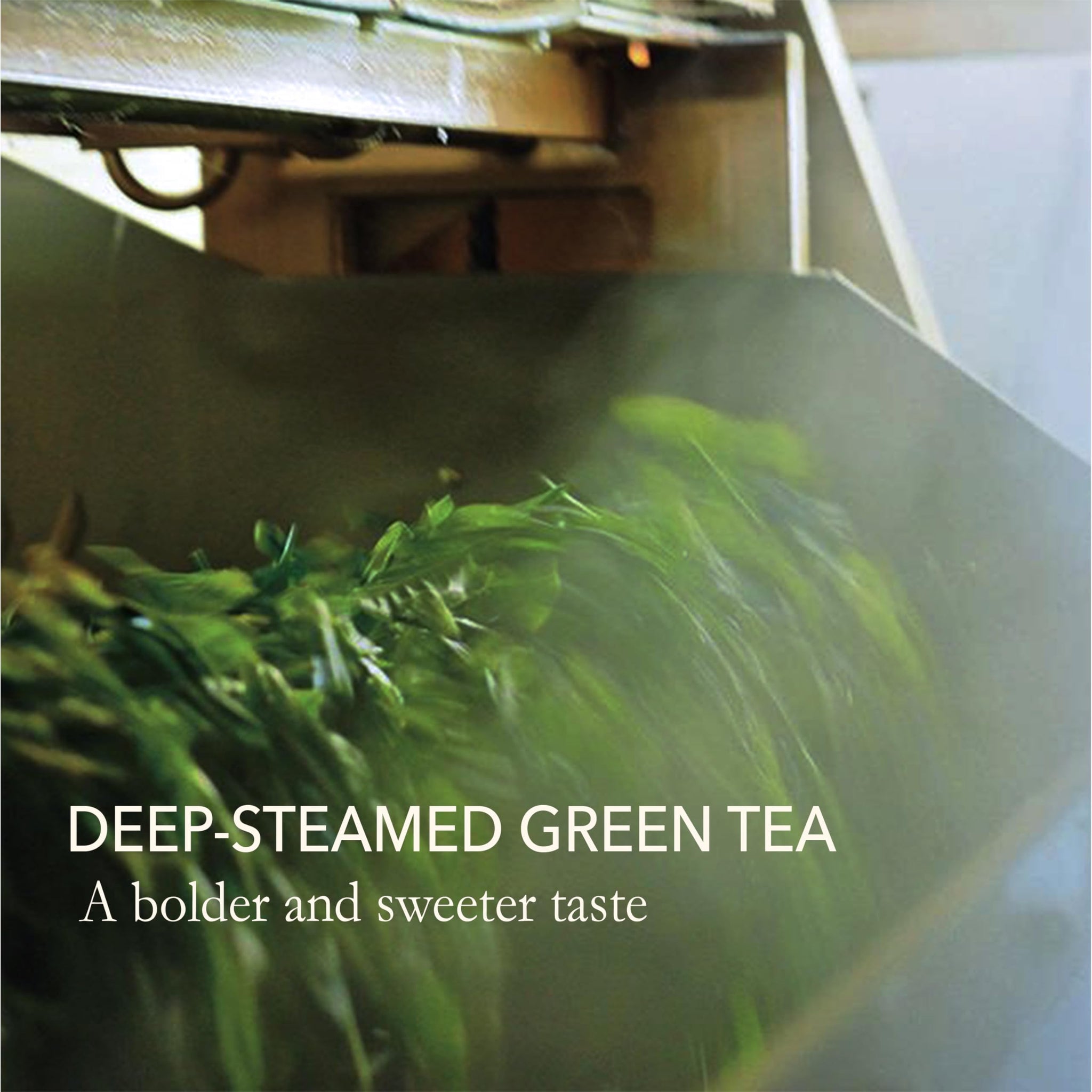 Japanese Green Tea Co. Premium Loose Leaf Green Tea - Issaku Reserve - 3.5 Oz (100g) - Vegan and All-Natural Fukamushi Sencha Japanese Tea Leaves