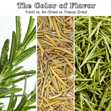 Freeze-Dried Rosemary Leaves, Vibrant and Lush, for Garnish Food/Spice Oil Making/Herbal Tea (Rosemary Leaves)