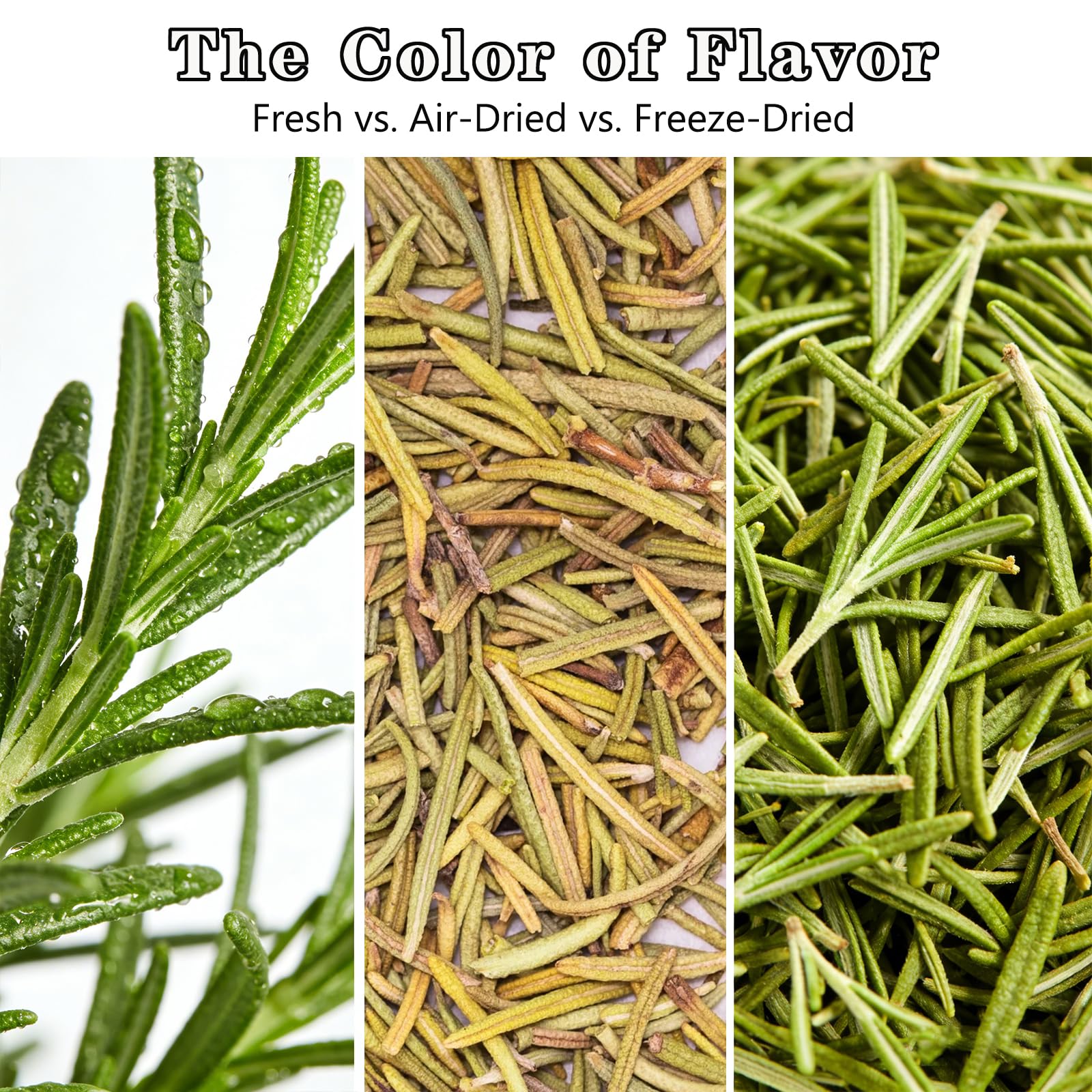 Freeze-Dried Rosemary Leaves, Vibrant and Lush, for Garnish Food/Spice Oil Making/Herbal Tea (Rosemary Leaves)
