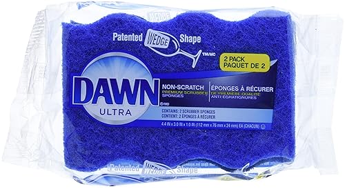 Dawn Non Scratch Sponges 2 pk
