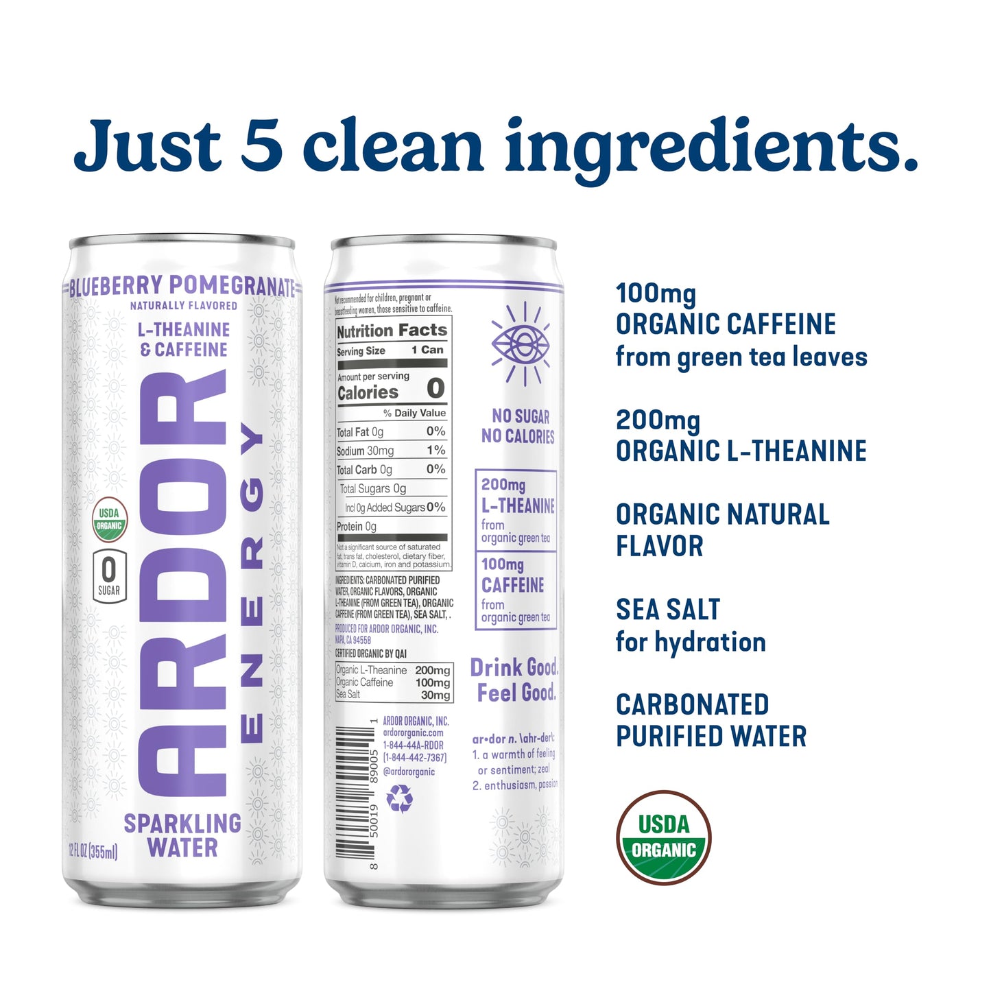 ARDOR ENERGY Sparkling Water with 100mg Natural Caffeine & 200mg L-Theanine from Organic Green Tea for Smooth Energy & Focus | Healthy Energy Drink |