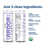 ARDOR ENERGY Sparkling Water with 100mg Natural Caffeine & 200mg L-Theanine from Organic Green Tea for Smooth Energy & Focus | Healthy Energy Drink |