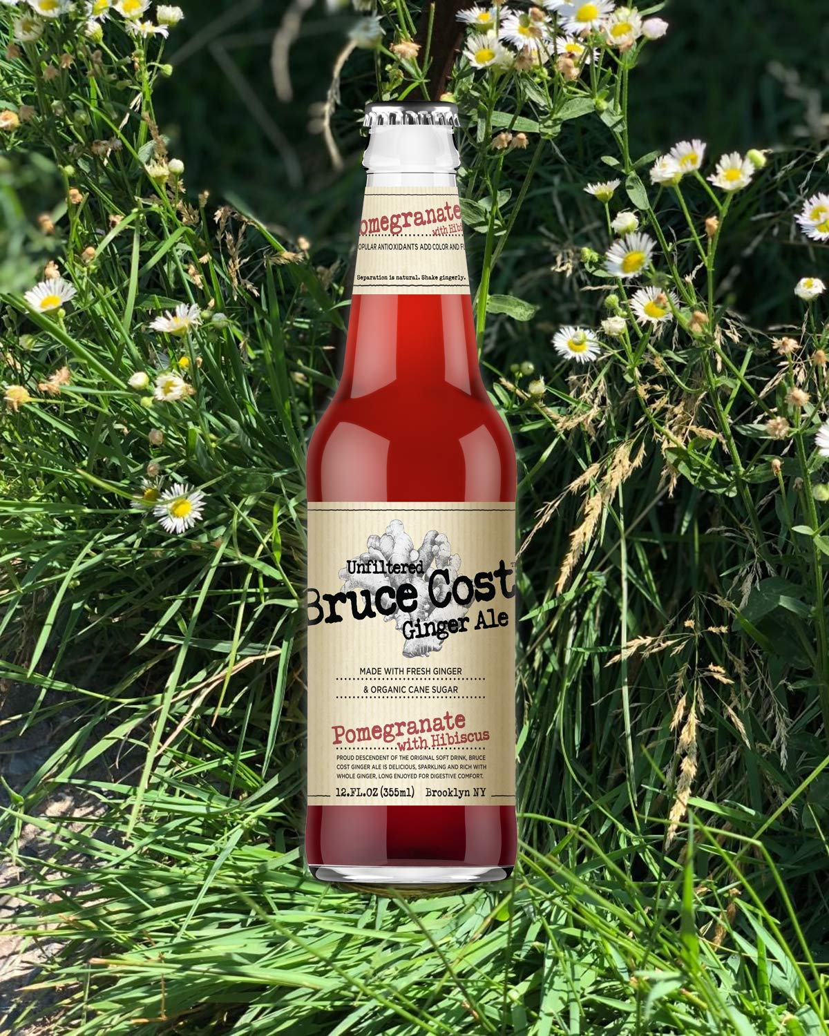 Bruce Cost Unfiltered Ginger Ale - Pomegranate with Hibiscus - 12 oz (24 Glass Bottles)