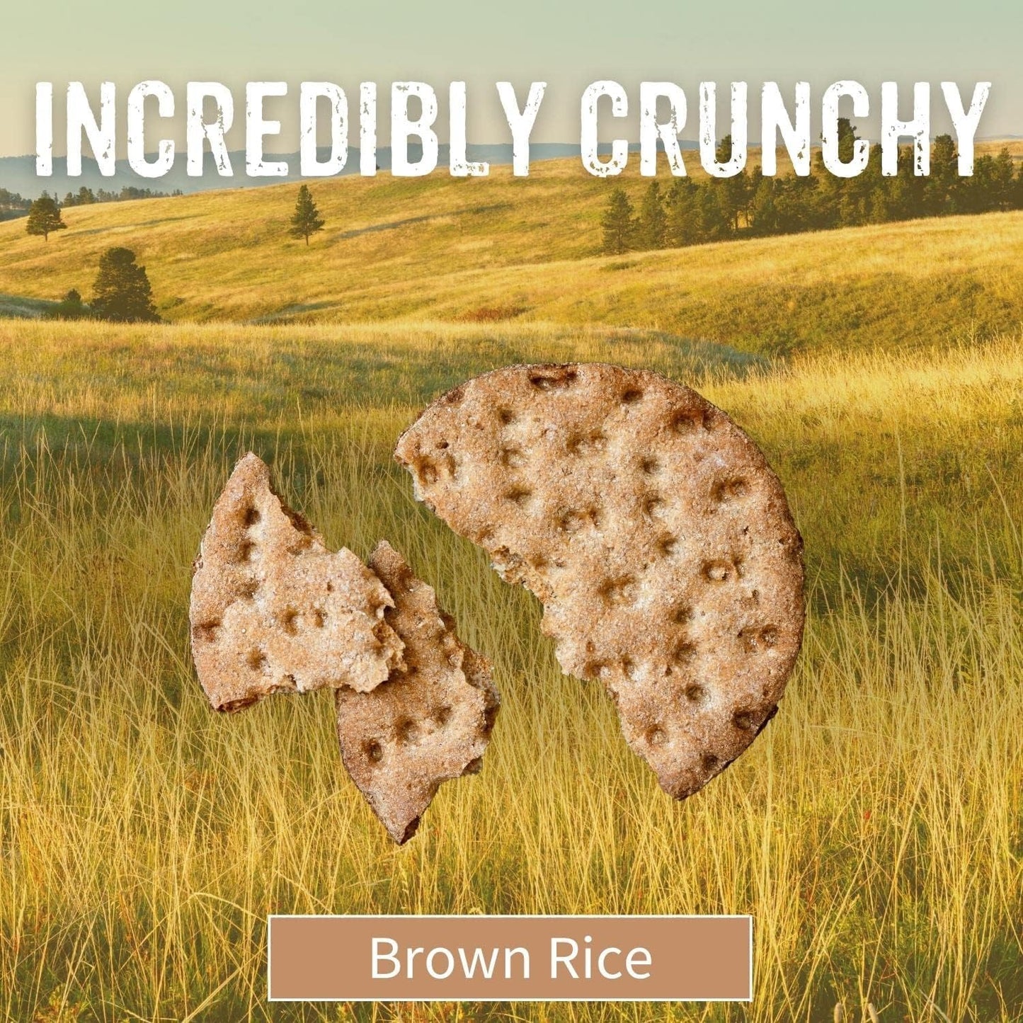 SESMARK Brown Rice Thins - Gluten Free, Non-GMO, Whole Grain Certified, Kosher - Wholesome and Flavorful Crackers - 3.5oz (Pack of 3)