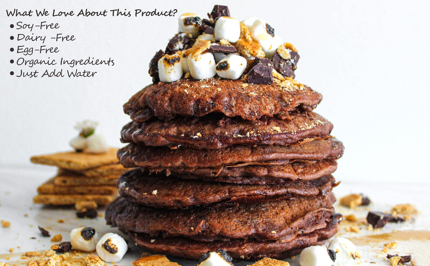 It's Really Vegan Pancake & Waffle Mix | Dairy Free, Egg Free, and Soy Free Mix Pancake Waffle | Serving Size 1/3 Cup Mix (40g) (Chocolate)